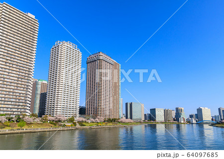 東京・大川端リバーシティ21の桜 64097685