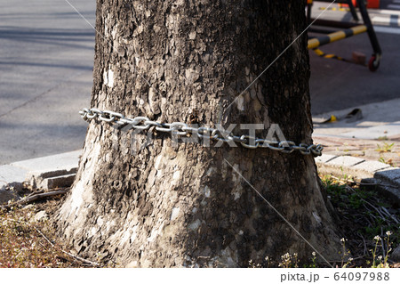 ブレーカ 鎖 木 64097988