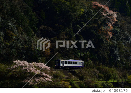 輝く列車と桜 輝く列車と桜 64098176