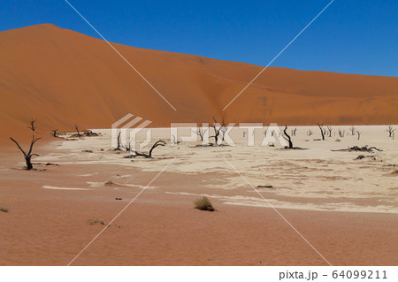 Dead Vlei Dead Vlei 64099211