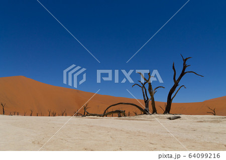 Dead Vlei Dead Vlei 64099216