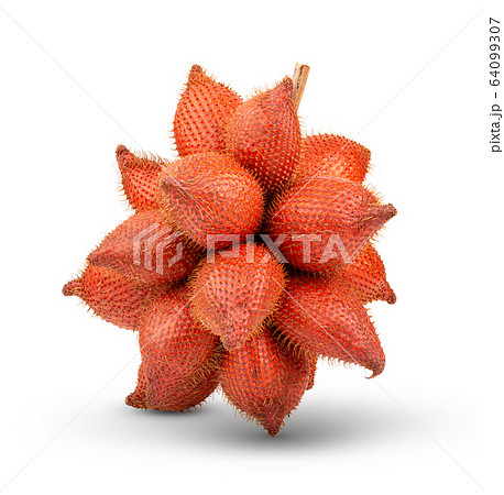 Fruit Salak isolated on white background. full depth of field 64099307