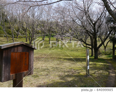 お花見広場（からきだの道） 64099985