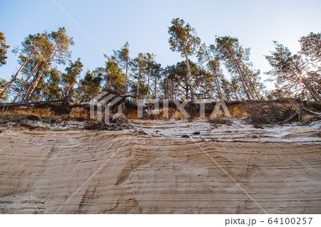 Sandy coast of the Baltic Sea Sandy coast of the Baltic Sea 64100257