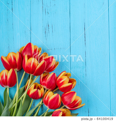 母の日 マザーズデー マザーズデイ 64100419