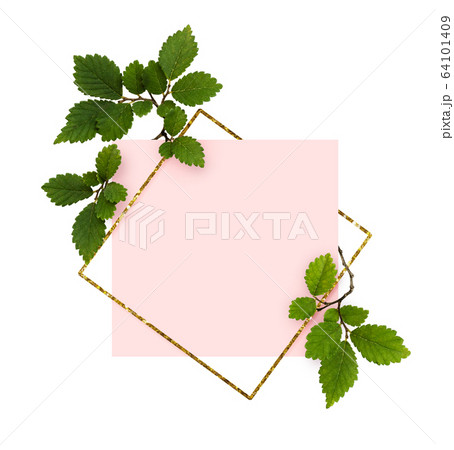 Twigs with green leaves in a corner arrangements 64101409