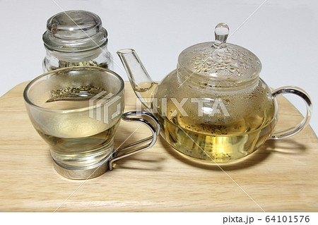 エキナセア 64101576