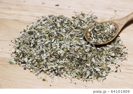 エキナセア 64101909