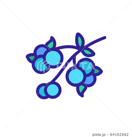 blueberry on branch icon vector outline illustration 64102682