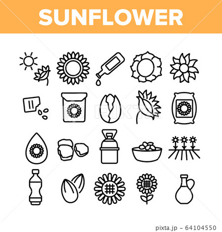 Sunflower Products Collection Icons Set Vector 64104550