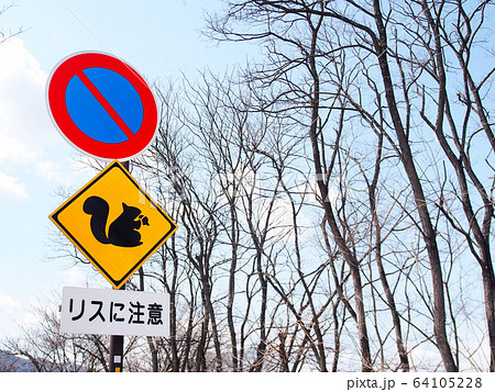 Local traffic signs coexisting with wild squirrels - Stock Photo [64105228]  - PIXTA