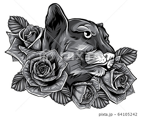 Panther monochromatic roses tattoo graphic vector illustration Panther monochromatic roses tattoo graphic vector illustration 64105242