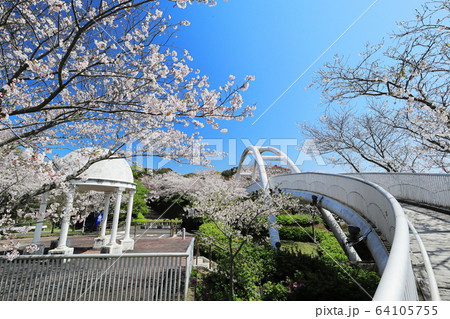 春の東光山公園 64105755