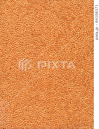 Agriculture concept. Textured background of red 64106371