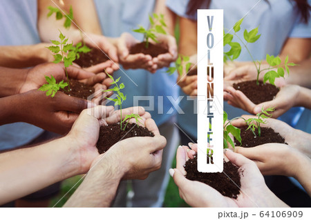 Save Earth together. Group of people holding green plants with dirt in their hands and word VOLUNTEER, collage 64106909