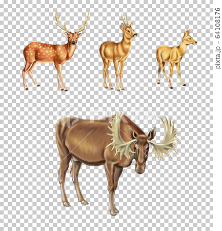 動物 鹿 ヘラジカのイラスト素材 動物 鹿 ヘラジカのイラスト素材