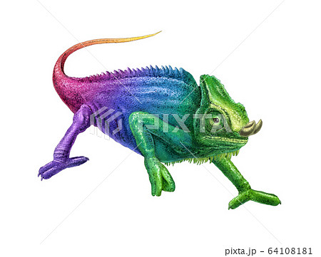 爬虫類 カメレオン 色彩のイラスト素材