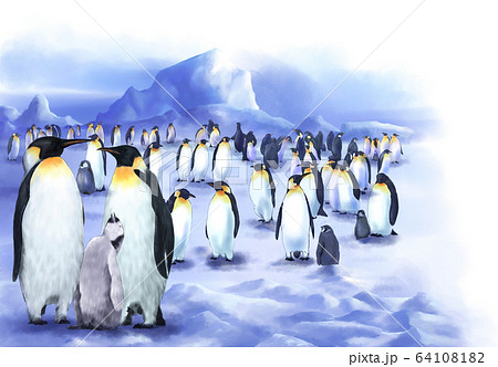 鳥 ペンギン 南極のイラスト素材