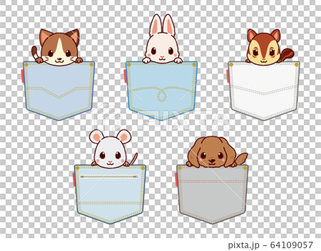 Pocket Animal 1 64109057