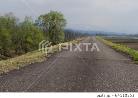 遊歩道 遊歩道 64110553