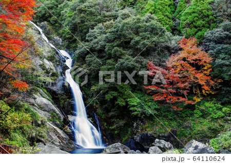 秋の見帰りの滝 64110624