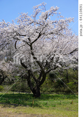 県立 三ツ池公園 県立 三ツ池公園 64110691