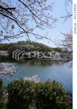 県立 三ツ池公園 県立 三ツ池公園 64110695