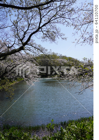 県立 三ツ池公園 64110700