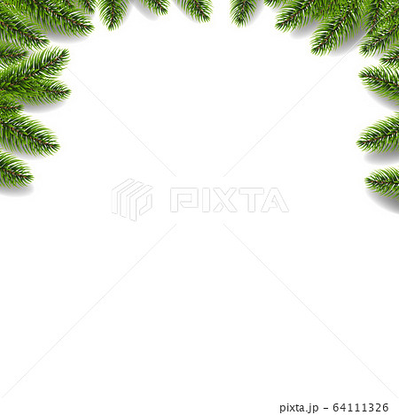 Green Fir Tree Border Isolated White Background Green Fir Tree Border Isolated White Background 64111326