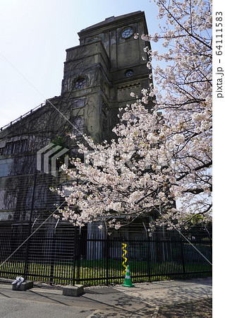 根岸森林公園 64111583