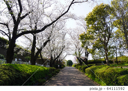 根岸森林公園 64111592