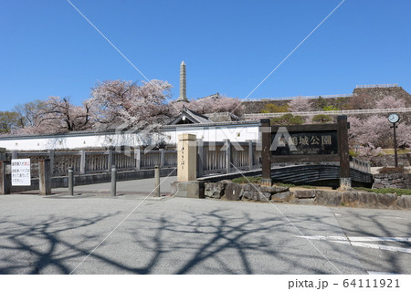 ■ 甲府城 ■ 舞鶴城公園 ■ 快晴 ■ 山梨県 ■ 桜満開 64111921