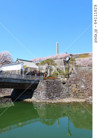 ■ 甲府城 ■ 舞鶴城公園 ■ 快晴 ■ 山梨県 ■ 桜満開 64111929