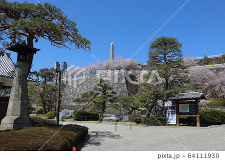 甲府城 舞鶴城公園 快晴 山梨県 桜満開の写真素材