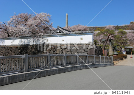 甲府城 舞鶴城公園 快晴 山梨県 桜満開の写真素材