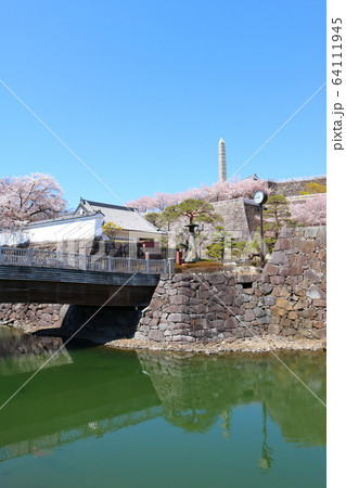 ■ 甲府城 ■ 舞鶴城公園 ■ 快晴 ■ 山梨県 ■ 桜満開 ■ 甲府城 ■ 舞鶴城公園 ■ 快晴 ■ 山梨県 ■ 桜満開 64111945