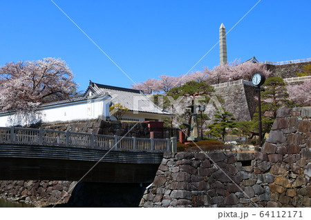 ■ 甲府城 ■ 舞鶴城公園 ■ 快晴 ■ 山梨県 ■ 桜満開 64112171