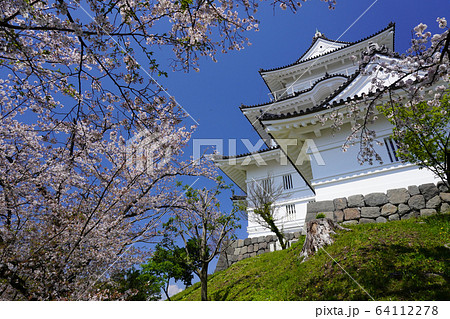 小田原城址公園 小田原城址公園 64112278