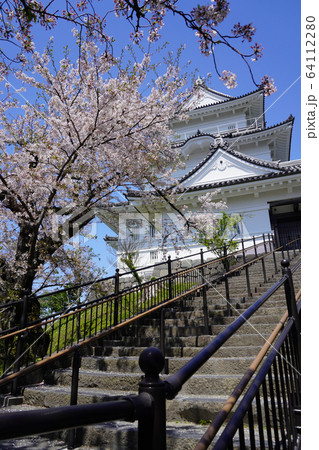 小田原城址公園  64112280