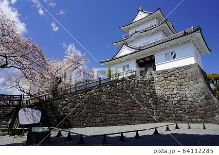 小田原城址公園  64112285
