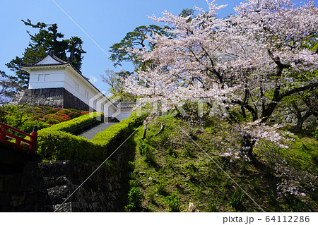 小田原城址公園  64112286