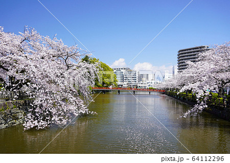 小田原城址公園  64112296