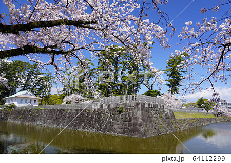 小田原城址公園  64112299