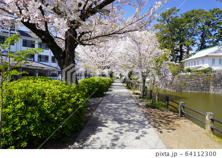 小田原城址公園  64112300