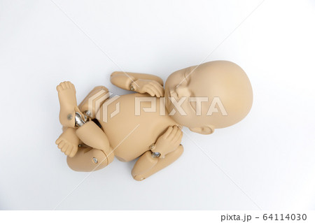 新生児人形 新生児人形 64114030