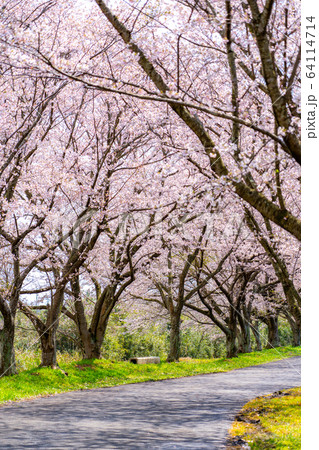 津市 安濃 北神山花街道 津市 安濃 北神山花街道 64114714