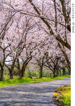 津市　安濃　北神山花街道 64114719