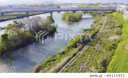 京都の桜並木 64115453