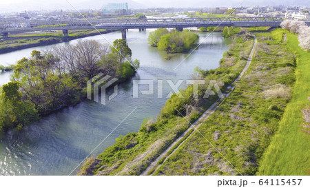 京都の桜並木 京都の桜並木 64115457