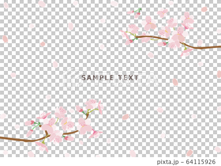 Sakura's frame - Stock Illustration [64115926] - PIXTA